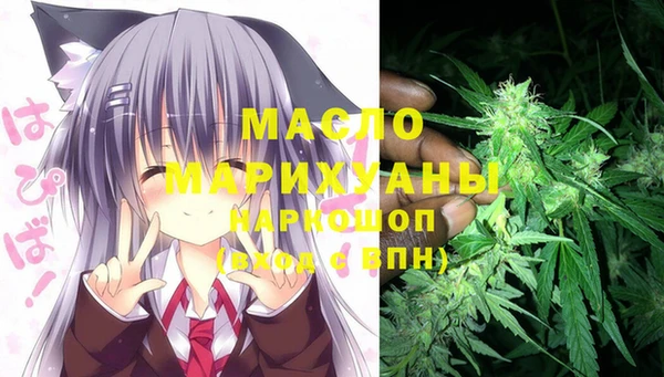 сатива Абинск