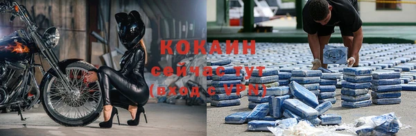 apvp Алексин