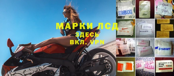 ПСИЛОЦИБИНОВЫЕ ГРИБЫ Алексеевка