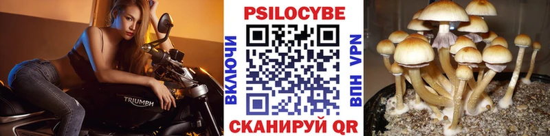 Псилоцибиновые грибы ЛСД наркотики Скопин